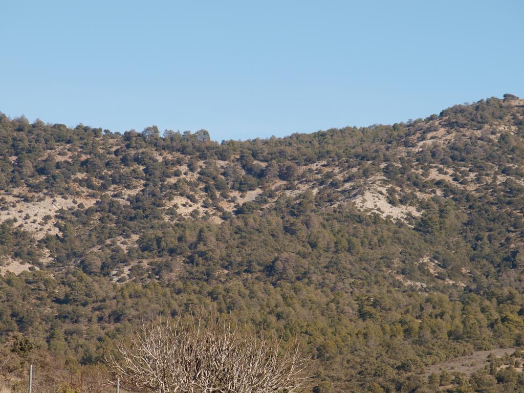 Alojamiento Turistico "El Torreon" Pensionat Fresneda de la Sierra Exteriör bild